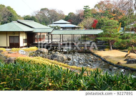 Autumn swan garden 9227891