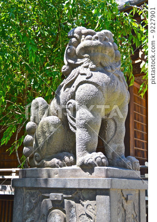 Ushijima Shrine（Shikata）的豚鼠（Ushijima Shrine / 1-4-5 Mukushima Sumida-ku，Tokyo） 9227901