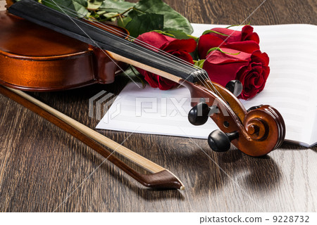 Violin, rose and music books Violin, rose and music books 9228732