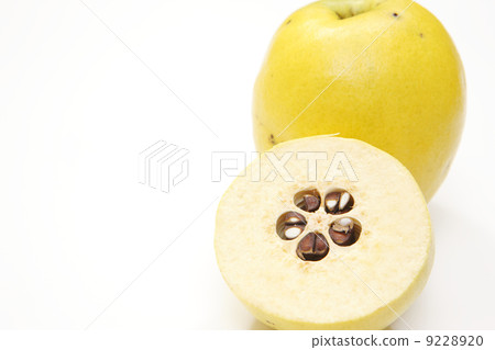 卡琳的果實 9228920