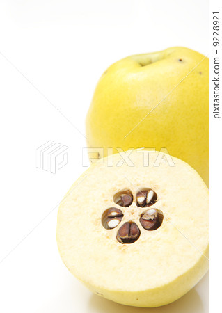 The fruit of Karin 9228921