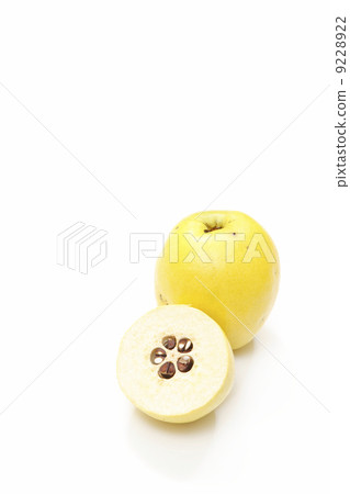 The fruit of Karin The fruit of Karin 9228922