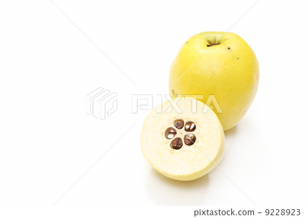 The fruit of Karin The fruit of Karin 9228923
