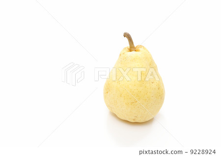 Western pear (Le Rectier) Western pear (Le Rectier) 9228924