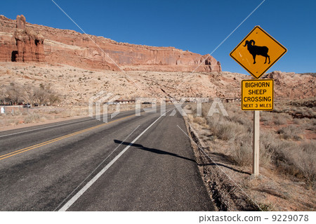 sign on the highway sign on the highway 9229078