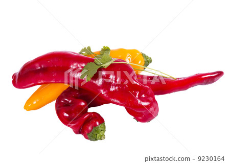 Paprika red and yellow Paprika red and yellow 9230164