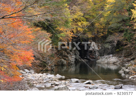 御手洗谷 9230577