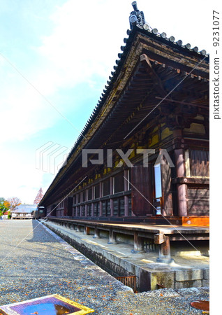 Sanjusangen-do（Renka Owon）的“Hondo”（京都市東山區Sanjusangendo Rikocho） 9231077