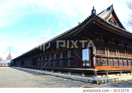 Sanjusangen-do（Renka Owon）的“Hondo”（京都市東山區Sanjusangendo Rikocho） 9231078