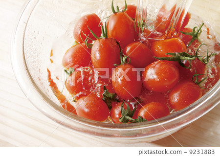 蕃茄 蕃茄 9231883