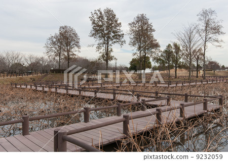 深秋 深秋 9232059