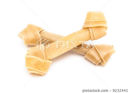 bone for a dog 9232441