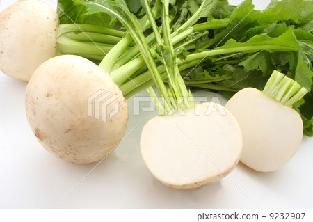 轉動白色葉子的輪車與葉子 9232907