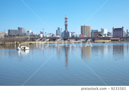 Spring noodles Spring noodles 9233381