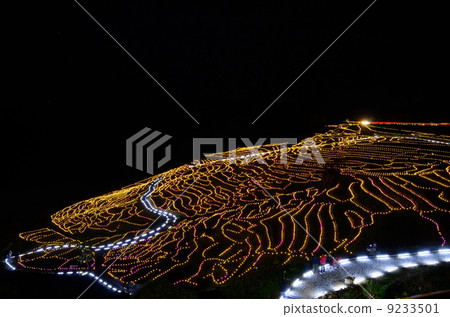 White rice white paper light up [sideways] 9233501