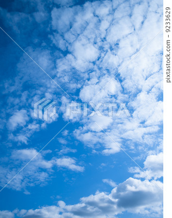 秋雲 9233629