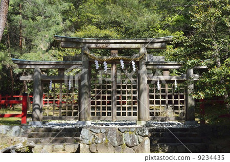Hinohara Shrine Miwa torii 9234435