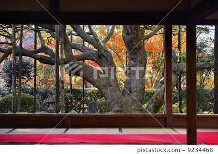 Frame picture garden Hohsengumi Fall Frame picture garden Hohsengumi Fall 9234468