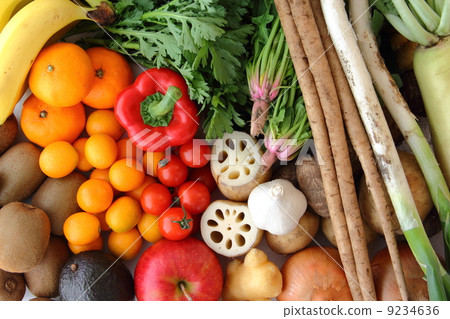 Fruits and vegetables 9234636