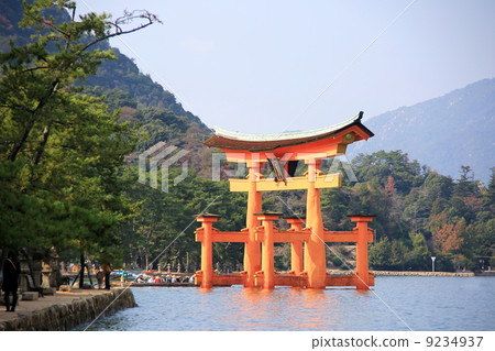 Torii Torii 9234937