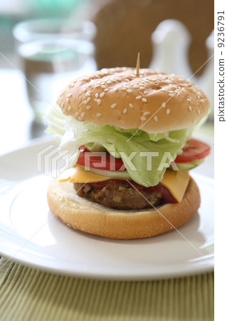 Beef Hamburger Beef Hamburger 9236791
