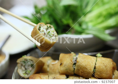 Fried Spring Roll also known as Egg Roll 9237007