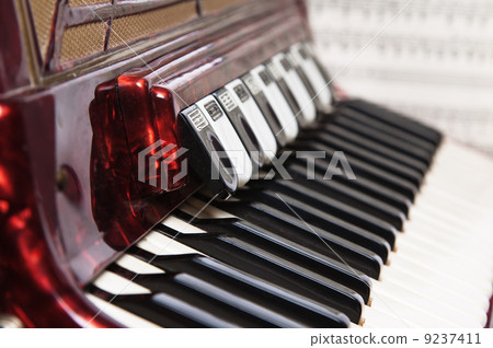 Red accordion, close up 9237411