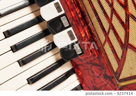 Red accordion, close up 9237414