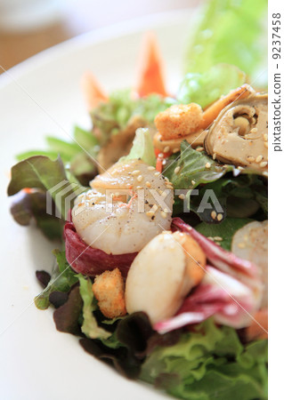 Seafood salad with Japanese sauce 9237458