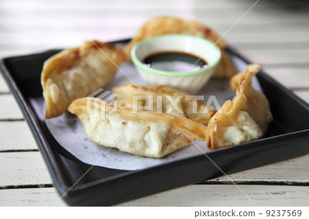 gyoza 9237569