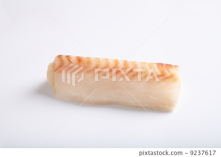 cod fish isolated in white background 9237617
