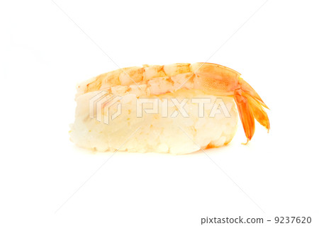 Shrimp sushi isolated on white background Shrimp sushi isolated on white background 9237620