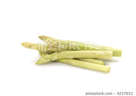 Asparagus isolated in white background 9237652