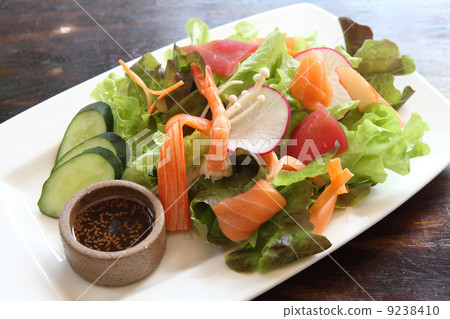 salad japanese style 9238410