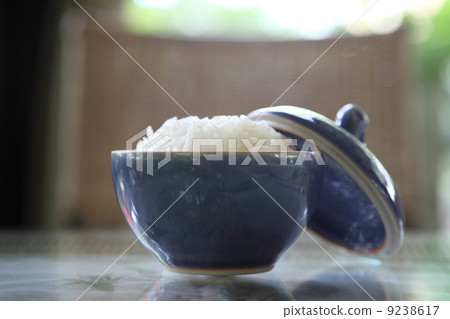 Rice Rice 9238617