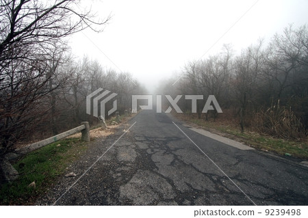 Scary Forest  9239498