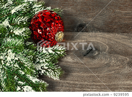 festive decoration red christmas ball with pine branches festive decoration red christmas ball with pine branches 9239595
