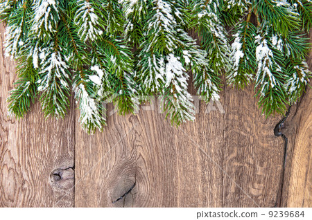 christmas tree branches over wooden background 9239684