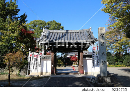 Yuzuji Kagoshima Koboshi 9239735