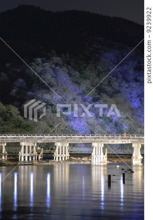 京都嵐山花光路 9239922