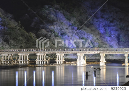 京都嵐山花光路 9239923