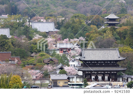 從Shigagaoka看到的春天的Ninna-ji寺 9241580