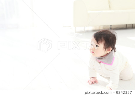 寶寶 寶寶 9242337