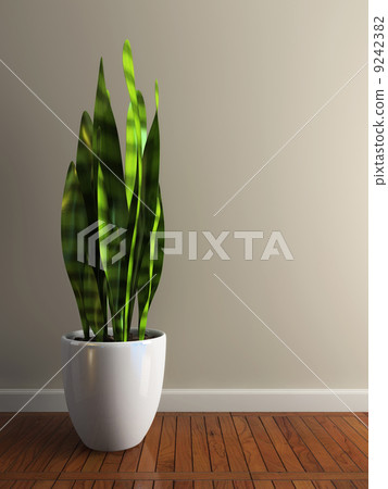 Part of the interior with plant Part of the interior with plant 9242382