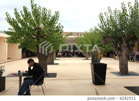 Pont du Gard的遊客露台 9242551