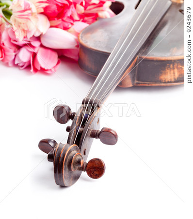 Black old violin Black old violin 9243679