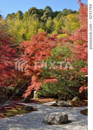 Garden of Najin-an Garden of Najin-an 9243769