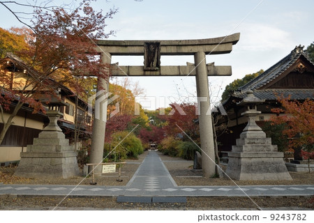 Torii of Nashiki Shrine Torii of Nashiki Shrine 9243782
