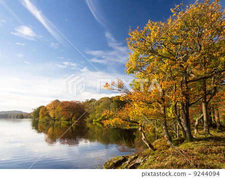 The autumn leaves of Lake Windermere, Lake Windermere The autumn leaves of Lake Windermere, Lake Windermere 9244094