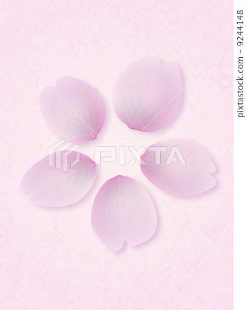 Cherry petals Cherry petals 9244148